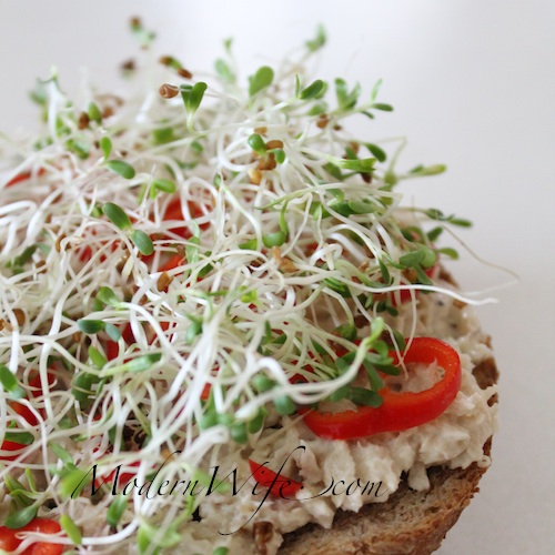 Alfalfa Sprouts and Sweet Peppers on Tuna Sandwich