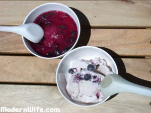 Blueberry Sorbet and Blueberry Ice Cream