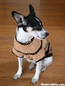 Cosmo's Wool Sweater