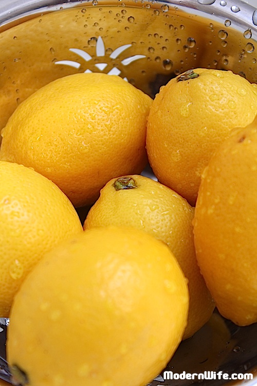 Lemon Sorbette